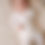 Thumbnail: Vanilla Wattle Bee1