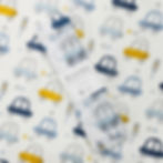Muslin Wrap - Car Print