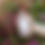 Thumbnail: Relax Bath Soak by the Physic Garden, 220g